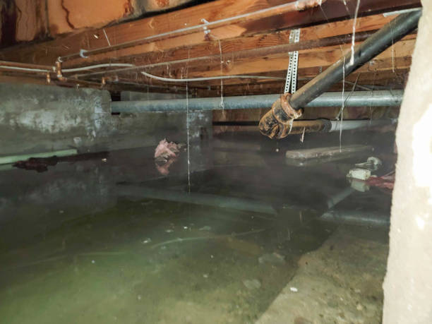 Best Flood restoration services  in Reiffton, PA