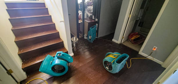 Best Carpet water damage restoration  in Reiffton, PA