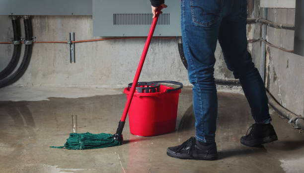 Best 24-hour water damage restoration  in Reiffton, PA