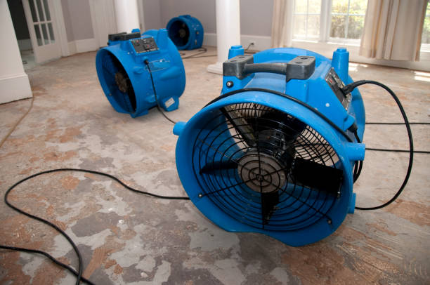  Reiffton, PA Water damage restoration Pros