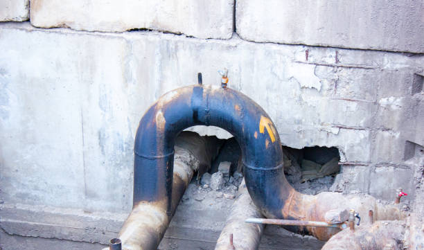 Best Water damage restoration mold remediation  in Reiffton, PA